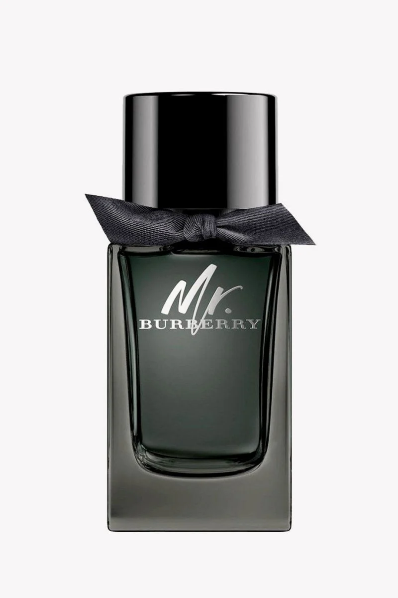 Burberry Mr Burberry Eau de Parfum 100ml