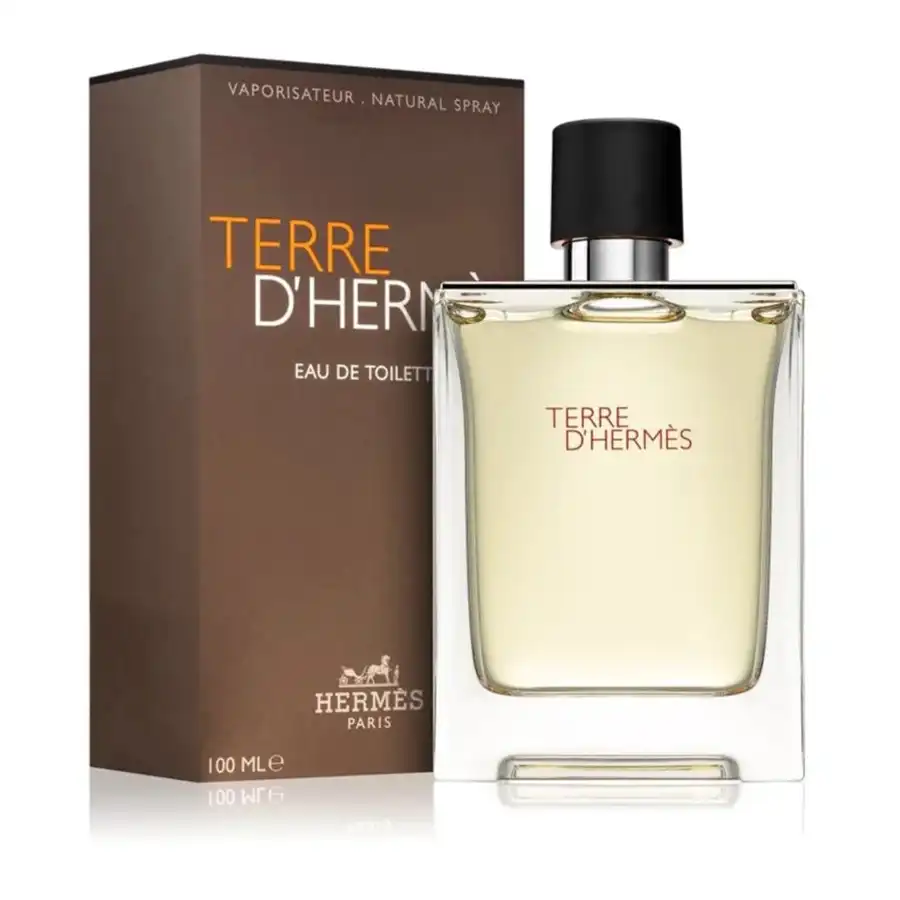 Hermes Terre D'hermes (Edt) - 100ml - Image 2